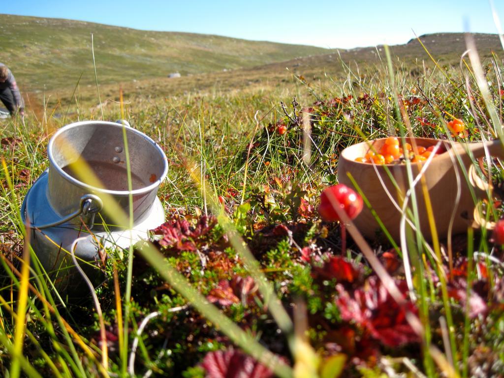 Norefjell - Storhytte Med Jacuzzi Og Fantastisk Beliggenhet Noresund Esterno foto